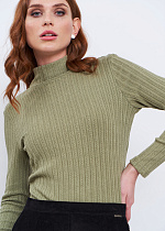 222902 Водолазка женская