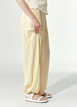 z41710 Брюки женские